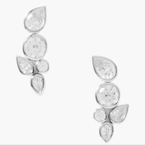 Nwt Non Tarnish Earrings Silver